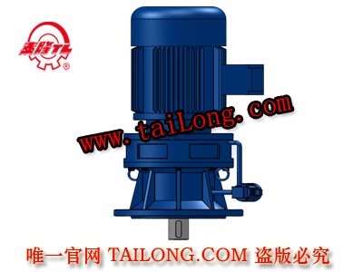 XLD 立式單級(jí)專用電機(jī)直聯(lián)型擺線針輪減速器（機(jī)）